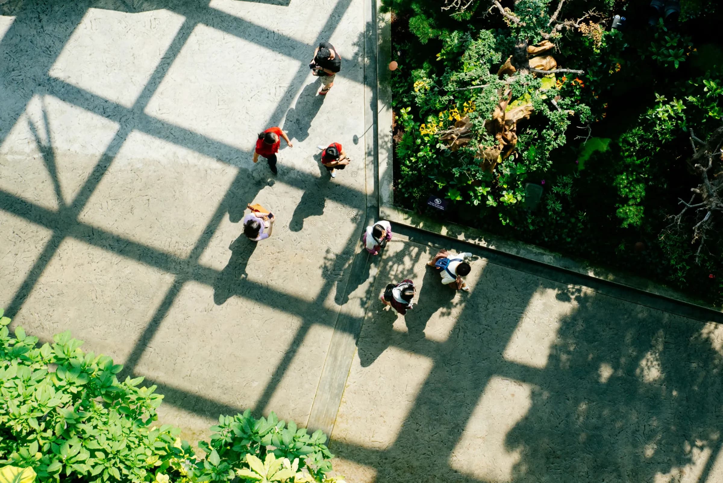 People walking through a sunlit landscape